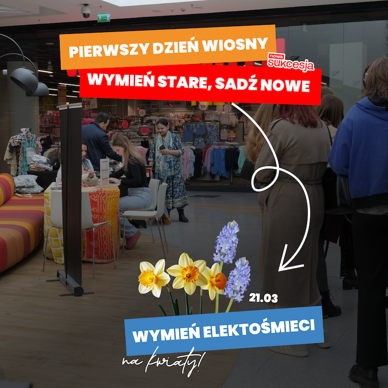 pierwszy dzień wiosny w nowej sukcesji
